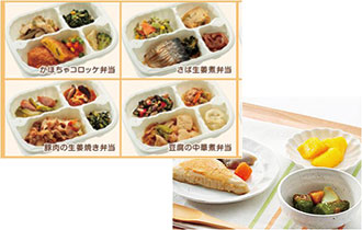 護食(チルドパック)冷凍弁当・ムース食